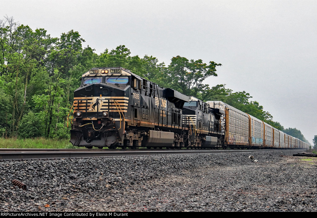 NS 7695 on 18N